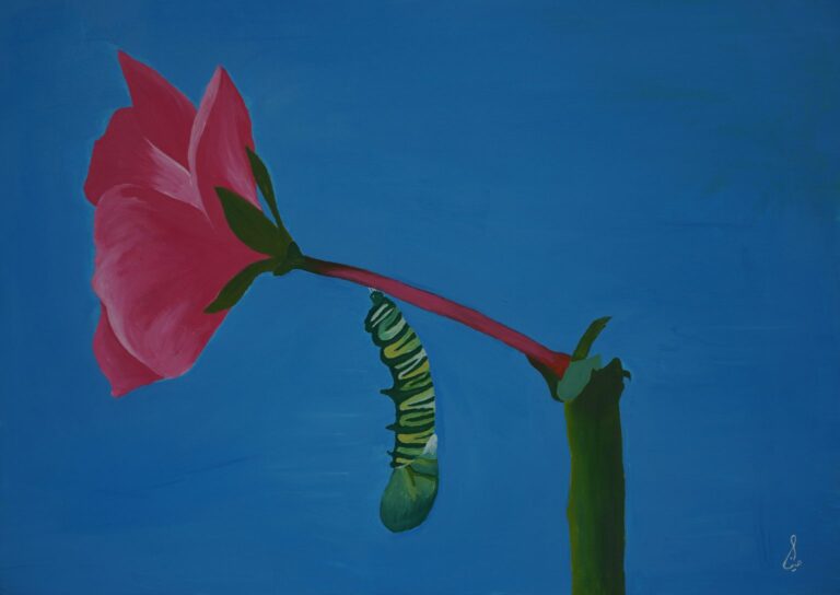 -موسوی-1536x1087